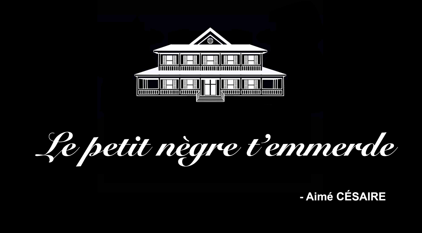 T-SHIRT SPORT AIME CESAIRE