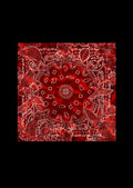 CARRE PAISLEY